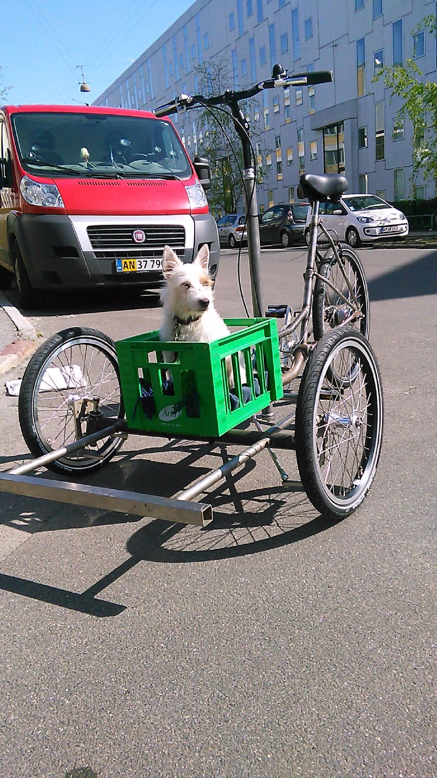 Viking cykel stor, nyhed til kørestol.