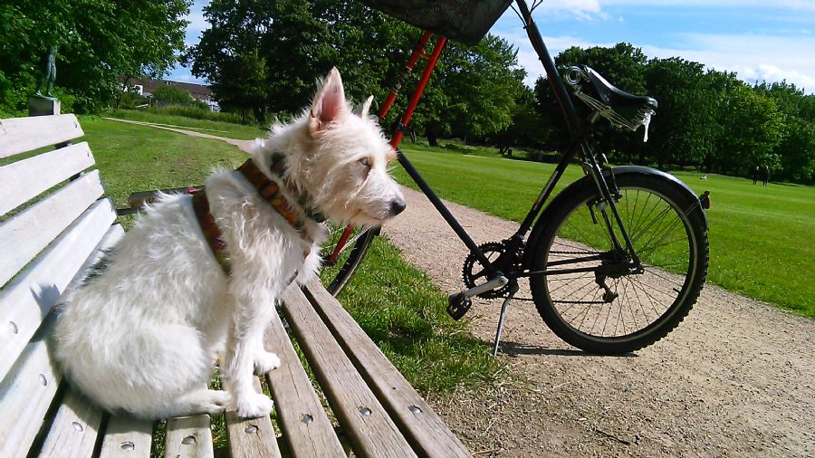 Balder på cykeltur.