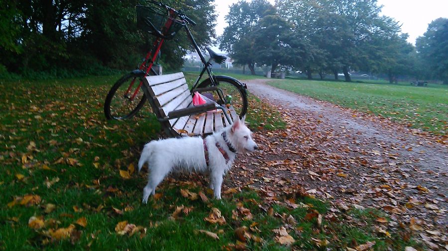 Efterår i Bispeparken.