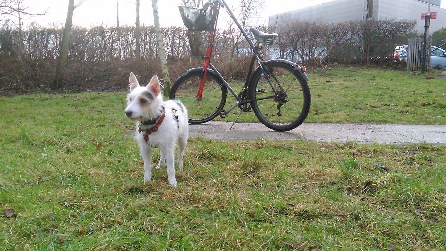 Balder på cykeltur i går.
