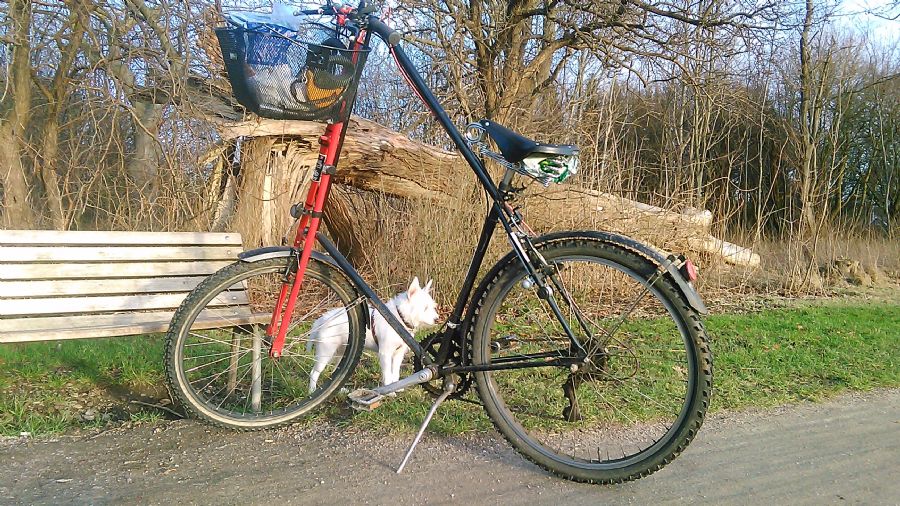 Bænken bispebjerg bakke i København.