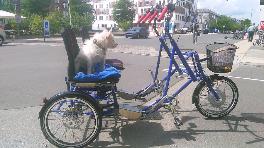 Ny parallelcykel til Hellerup.
