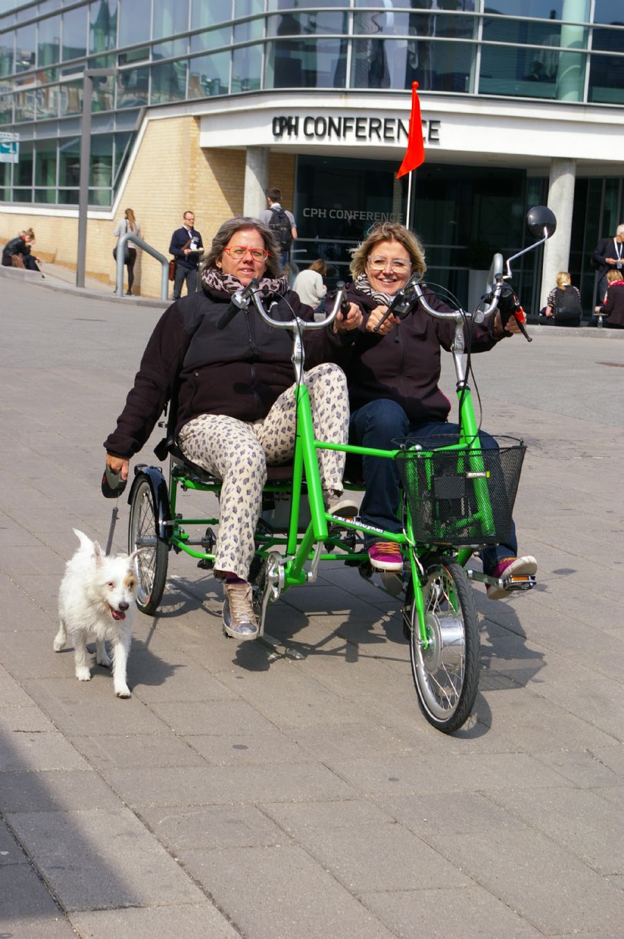 Parallelcykel fra DGI-Byen 2013