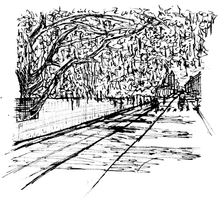den gule mur