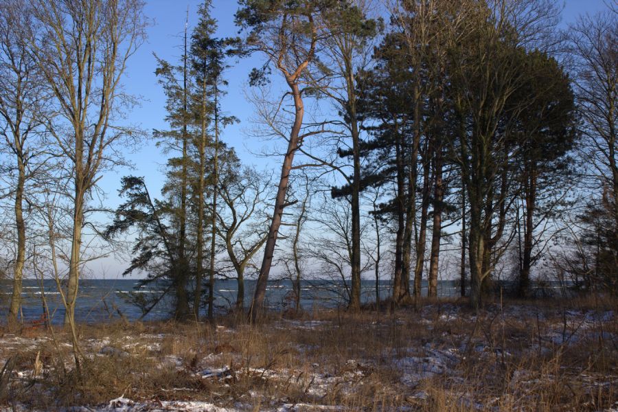 vinter