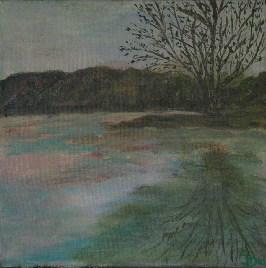 Søen