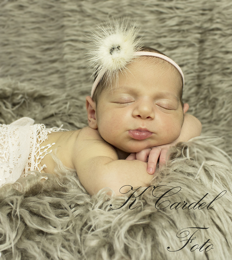 Newborn foto – foto af kc-gallery