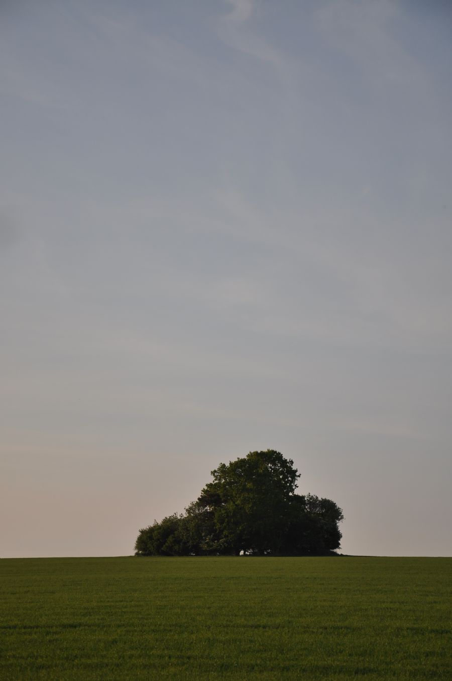 himmel - træer - mark...