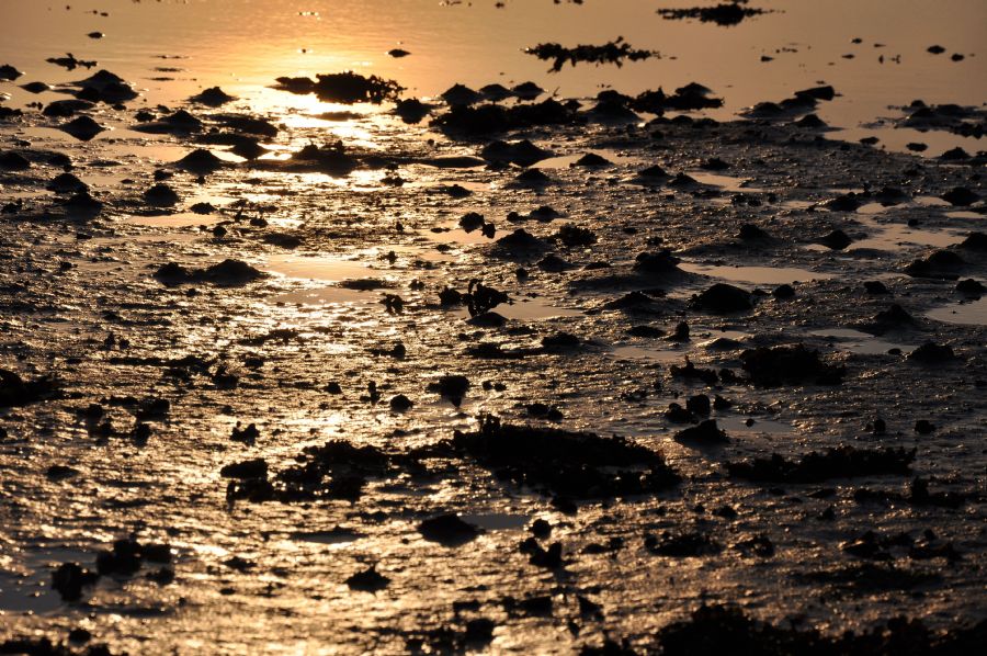 vand - strand - solnedgang