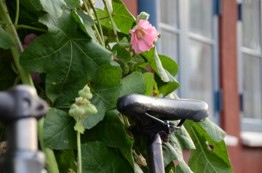 cykel...