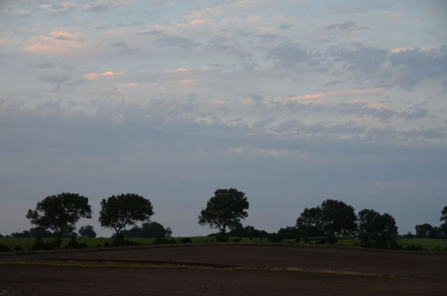 himmel - træer - mark...