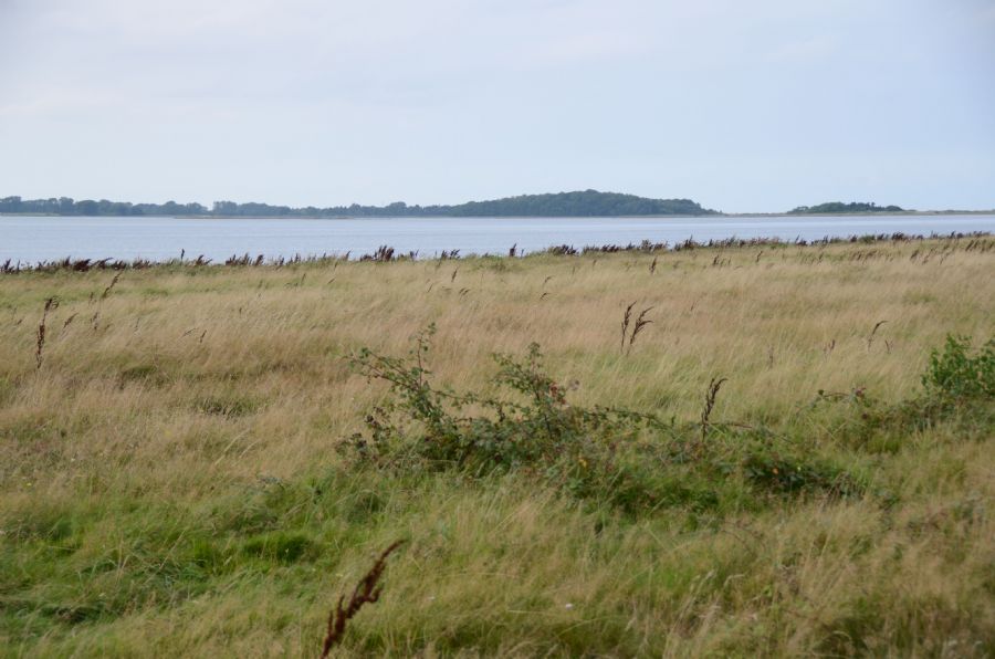 'enebærodde 3'...