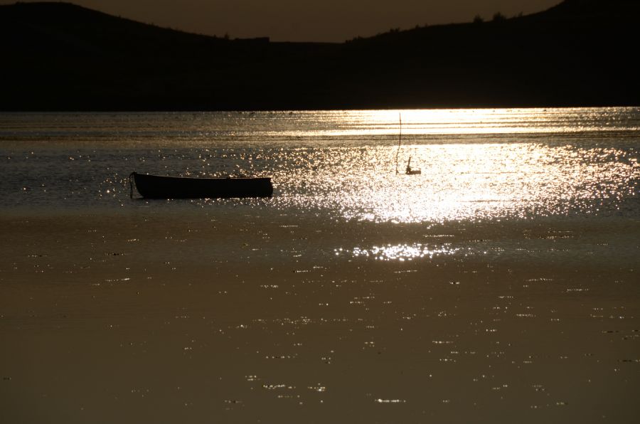 'båd i modlys'... (odense fjord)