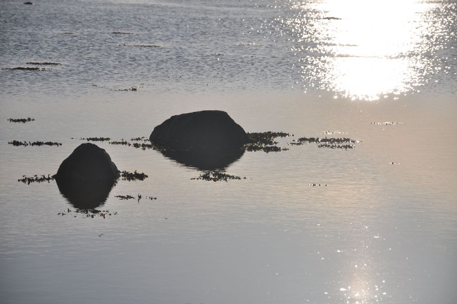 'sten i vand'... (hindsholm)