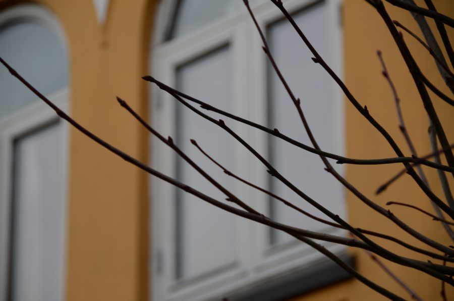 'vintergrene'...
