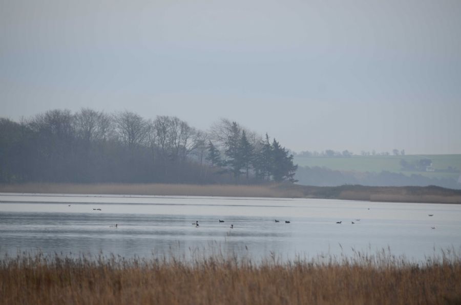 'glimpses of winter'...