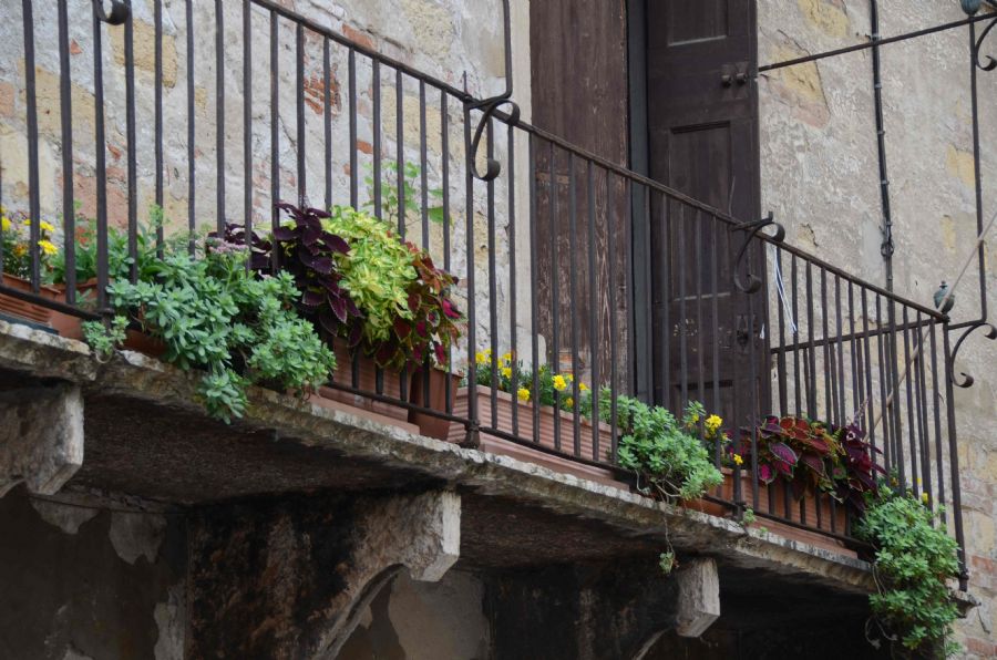 'Colors of Italia'...