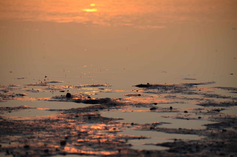 'Glimpses of Sunset'...