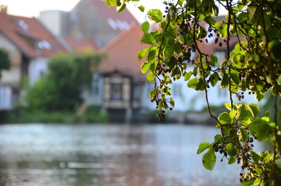 'Atmospheres of Denmark'...