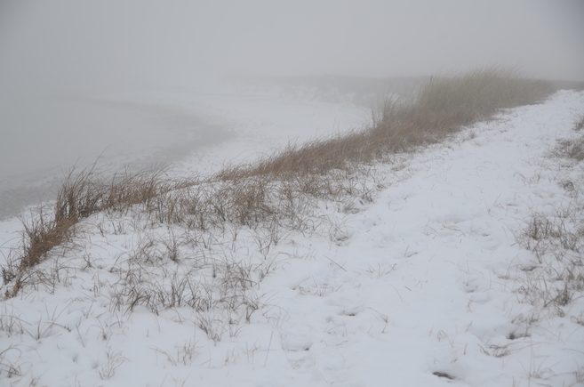'Glimpses of Winter'...