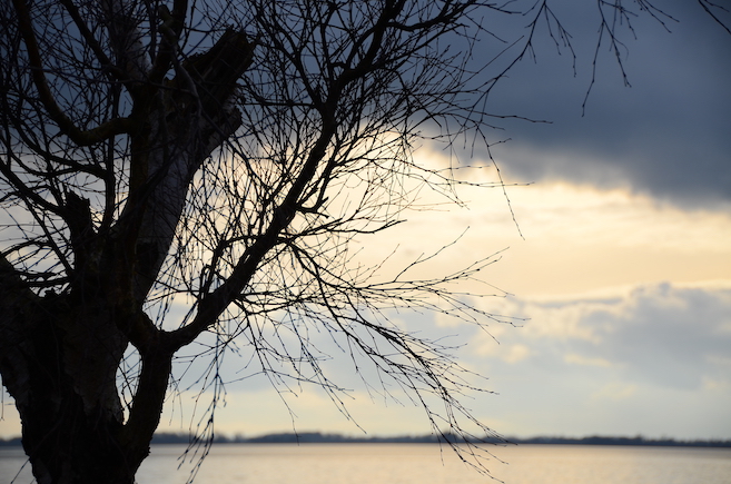 'Glimpses of Winter'...