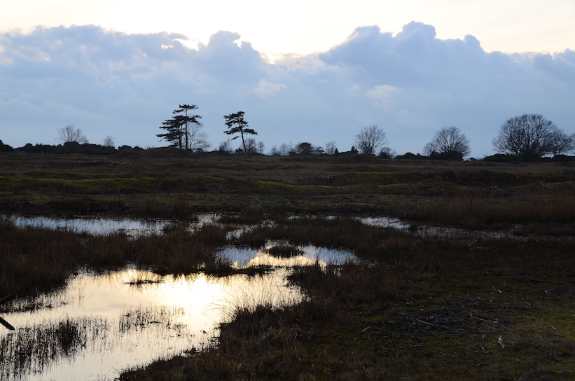 'Glimpses of Winter'...
