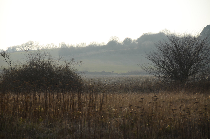 'Glimpses of Winter'...