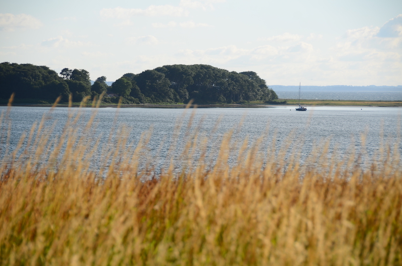 'Glimpses of Summer'...