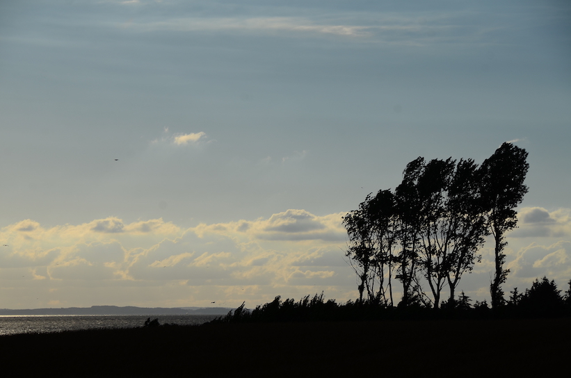 'Glimpses of Summer'...