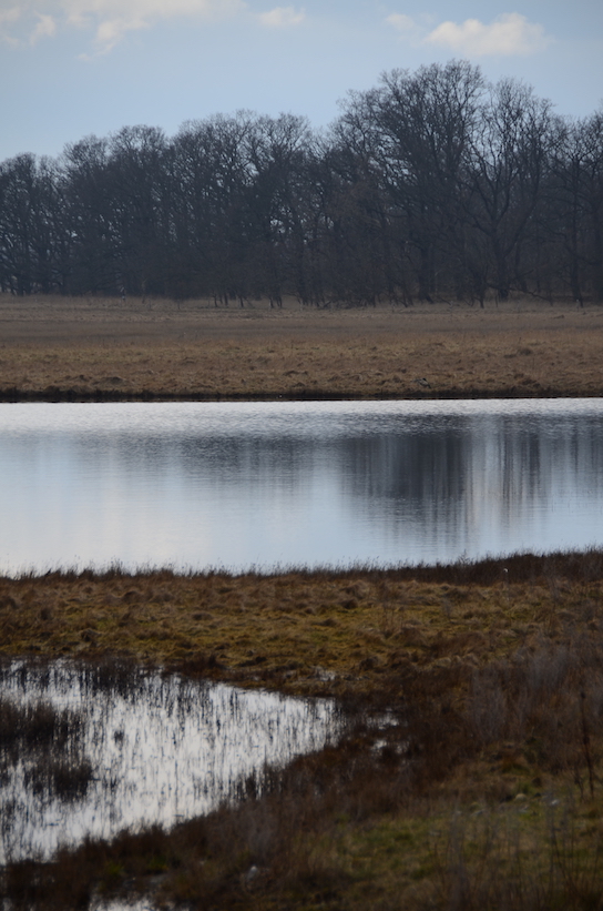 'Glimpses of Vinter'...