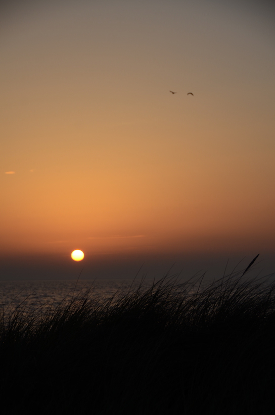 'Glimpses of Sunset'...