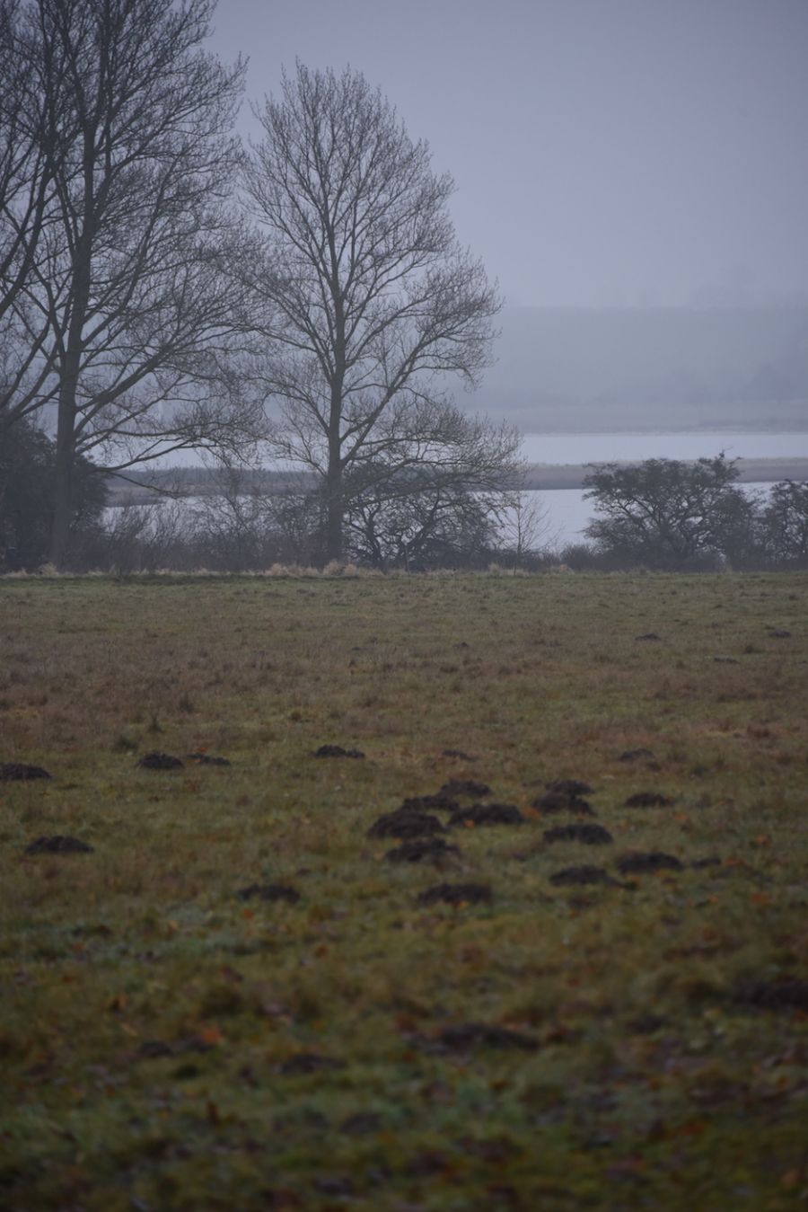 'Glimpses of Winter'...