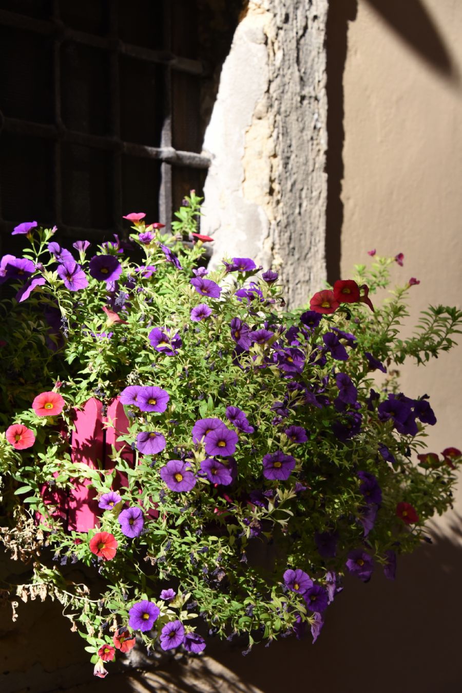 'Colors of Italia'...