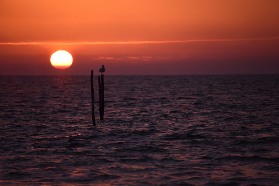 'GLIMPSES OF SUNSET'...