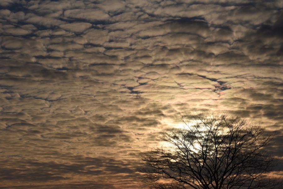 'GLIMPSES OF WINTER'...