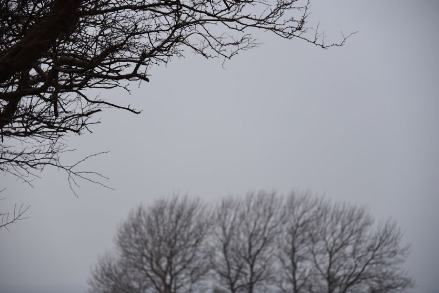 'GLIMPSES OF WINTER'...