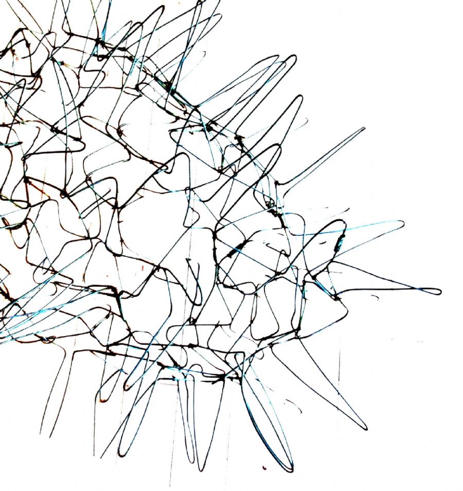 seed02