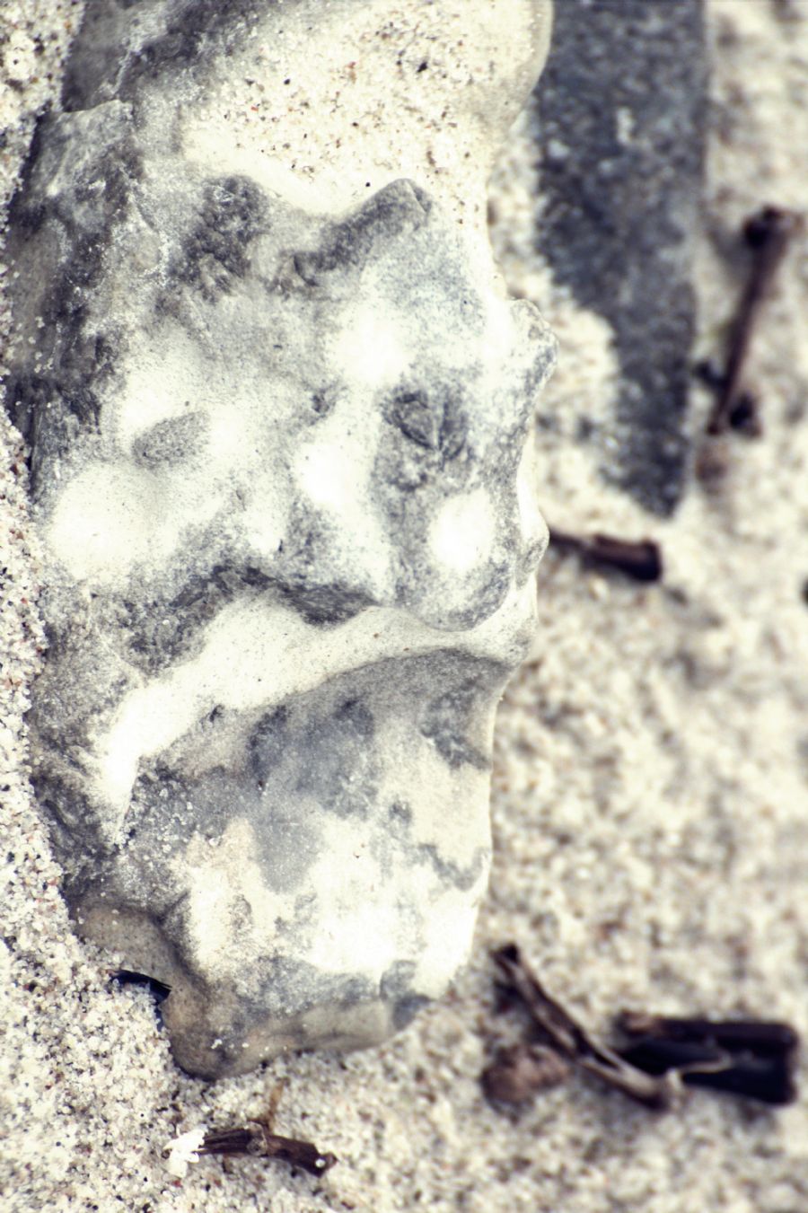 Stone face