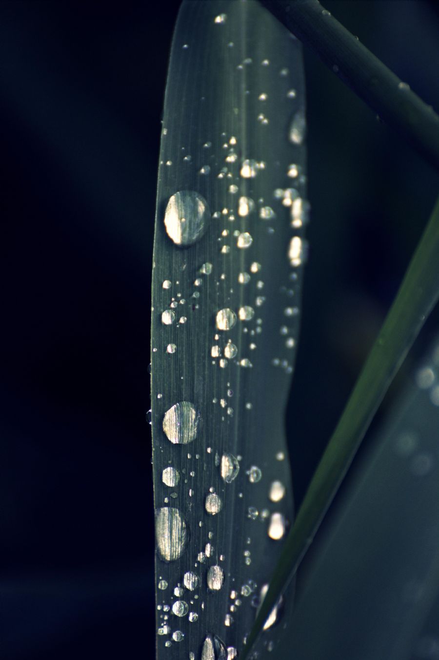 After rain