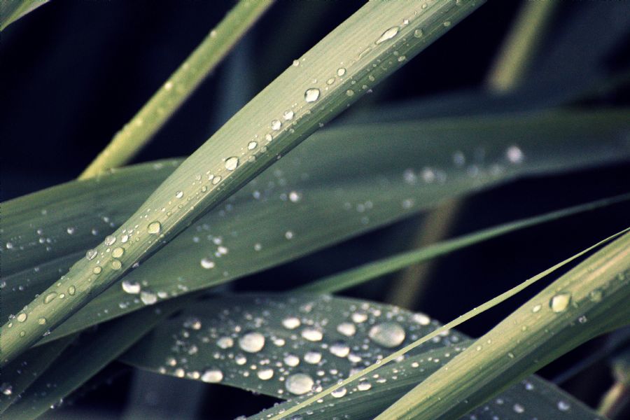 After rain