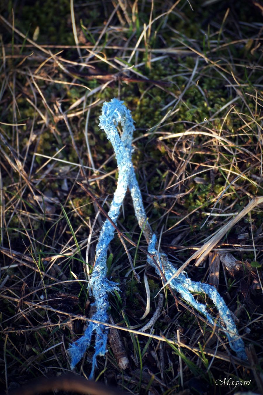 "blue"