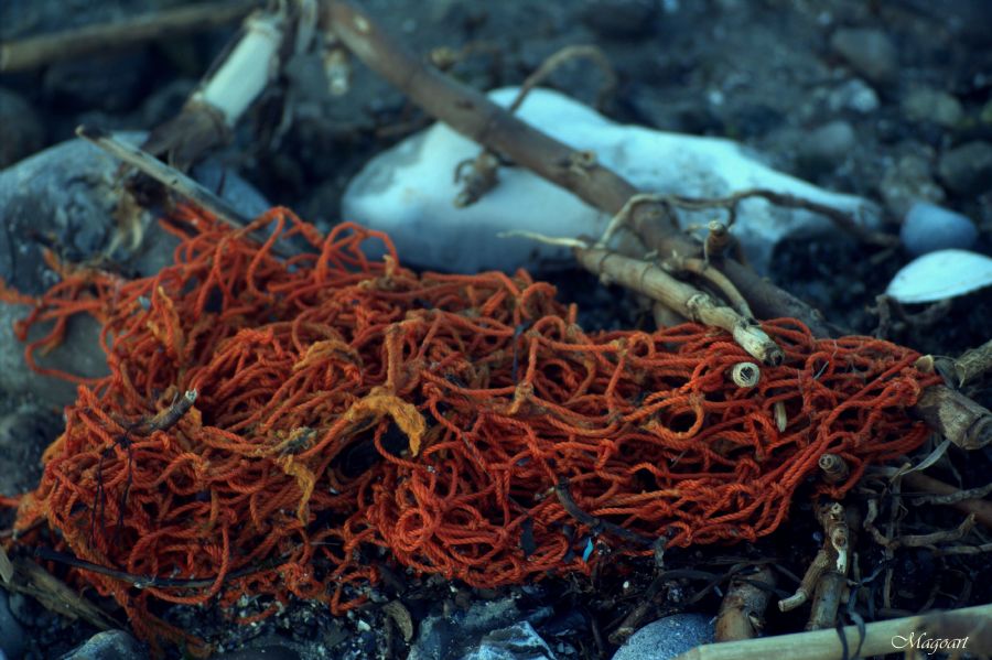 "Orange"