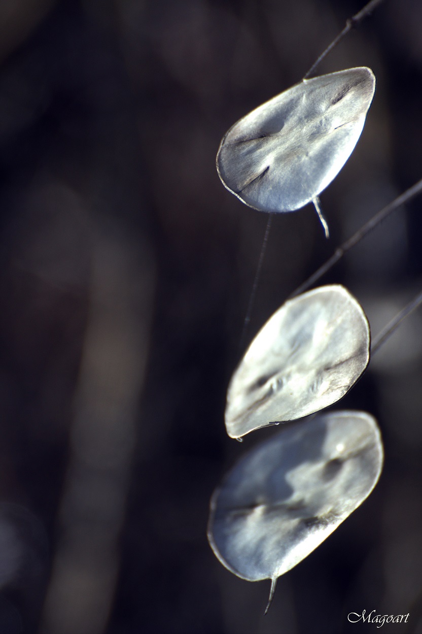 Three