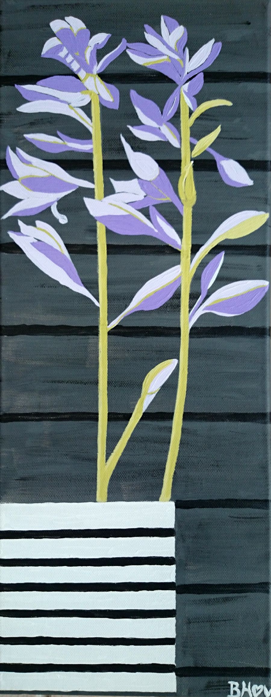 Hosta