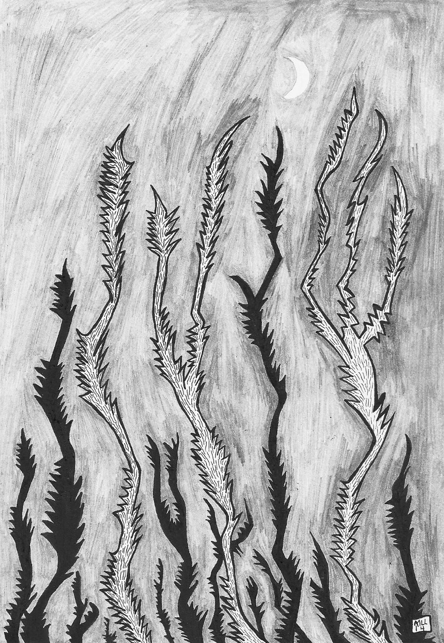 Alien-forest