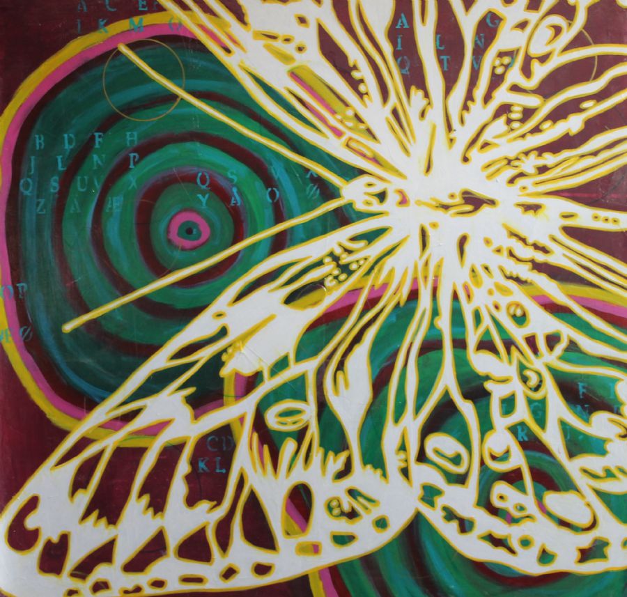 butterfly