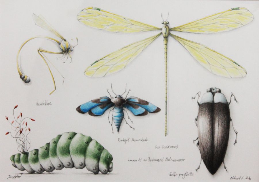 Insekter 2