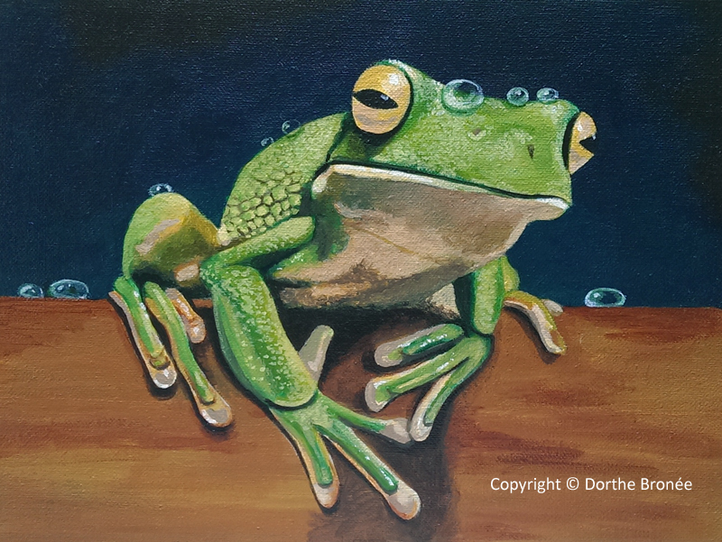 Mr. Frog