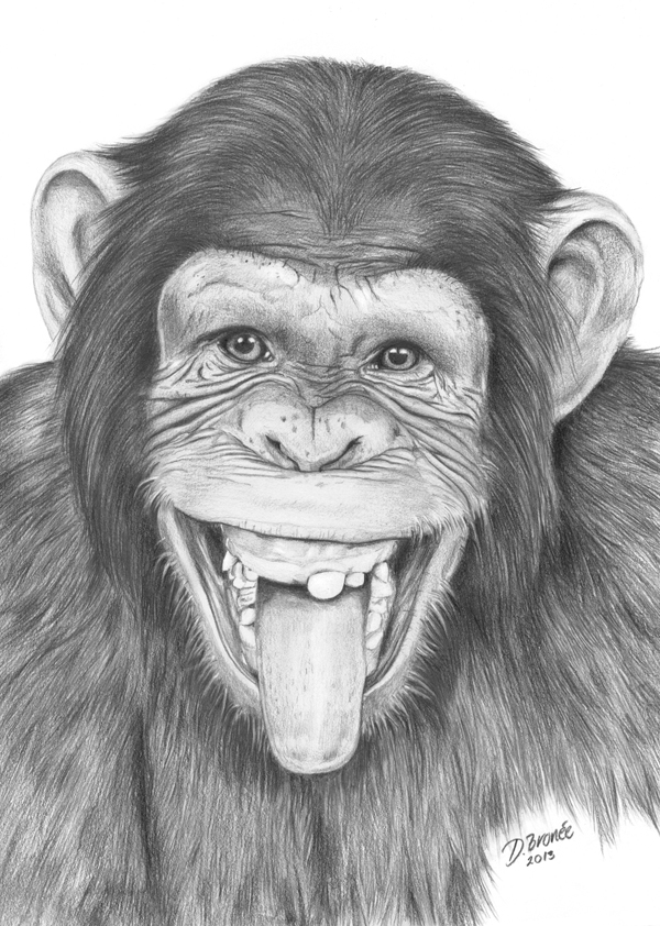 Happy monkey