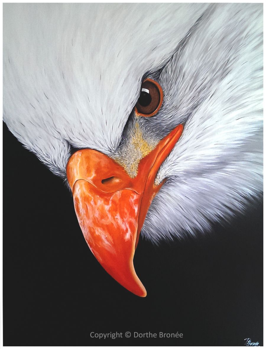Eagle
